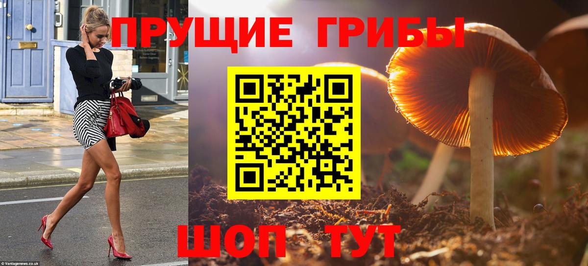 Псилоцибиновые грибы мицелий Аксай